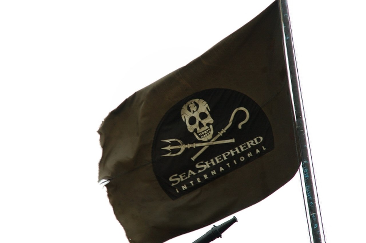 اي شعار يظهر على علم القراصنة
