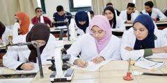كم عدد طلاب كليات الطب في مصر